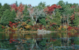 fall scene